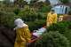 FILE - Medical staff carry an Ebola patient to a treatment center in Rwampara, Congo, Thursday, May 21, 2026.