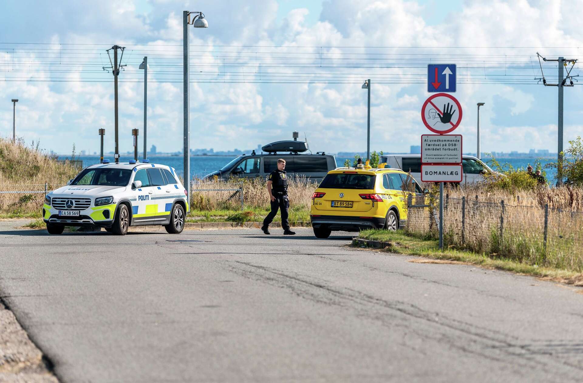 Billedet i artiklen