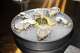 Freshly opened oysters are displayed on the counter during the opening of Bar Skula in Oakland on Wednesday, July 1, 2026.