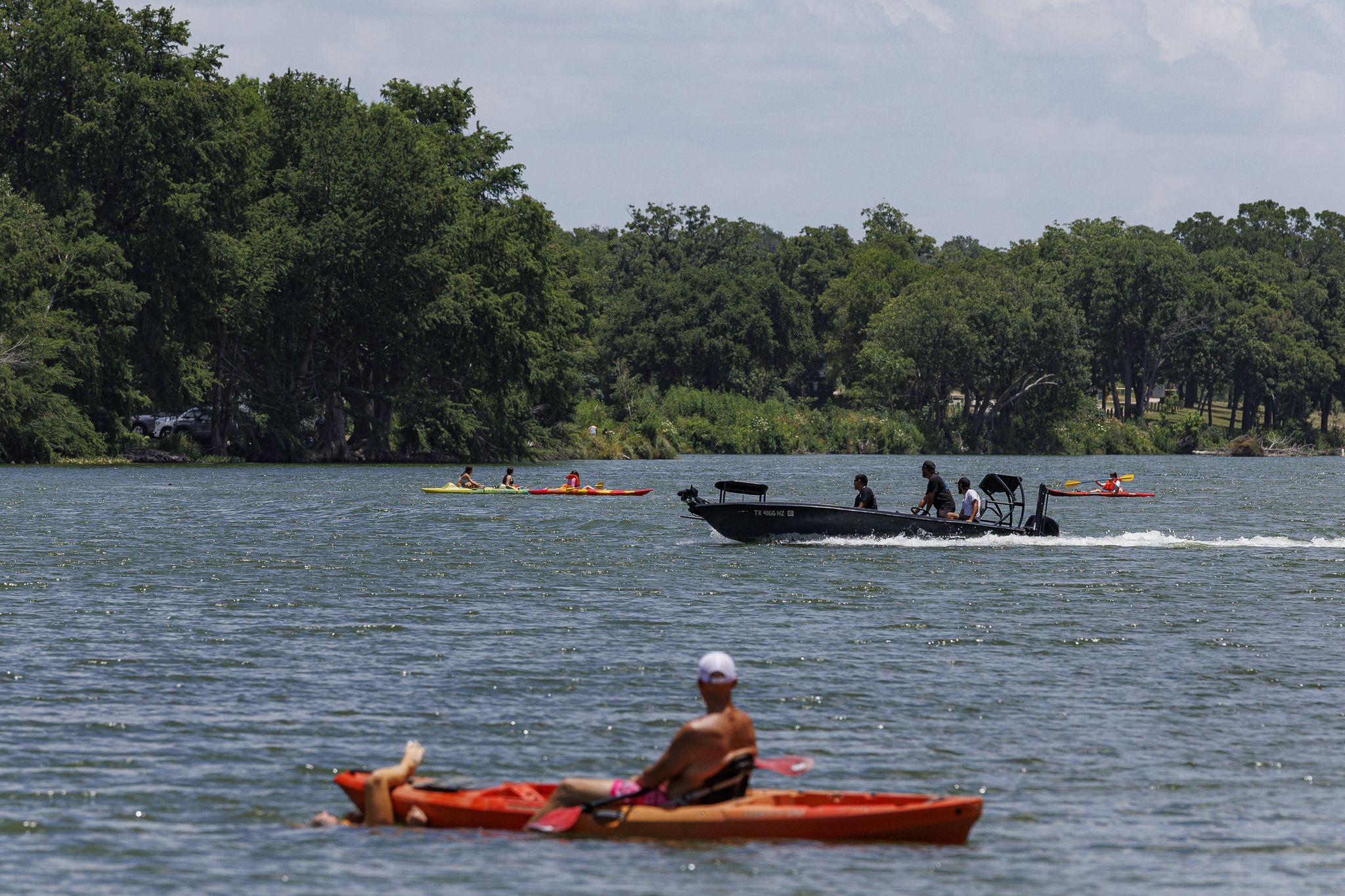 Water critters handled Guadalupe River floods better than you'd expect