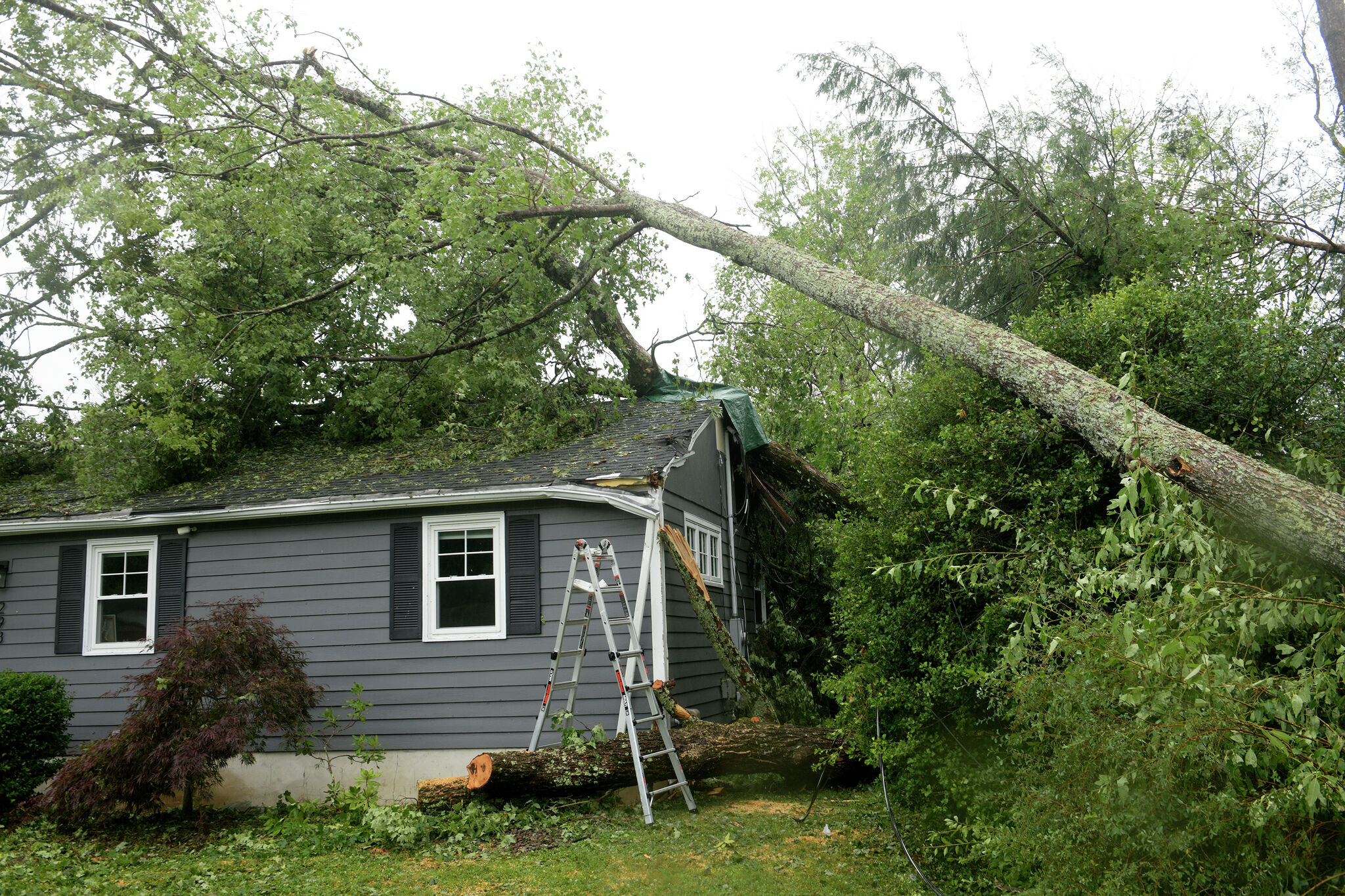 'Came out of nowhere': How a Connecticut town is grappling with serious storm damage, outages