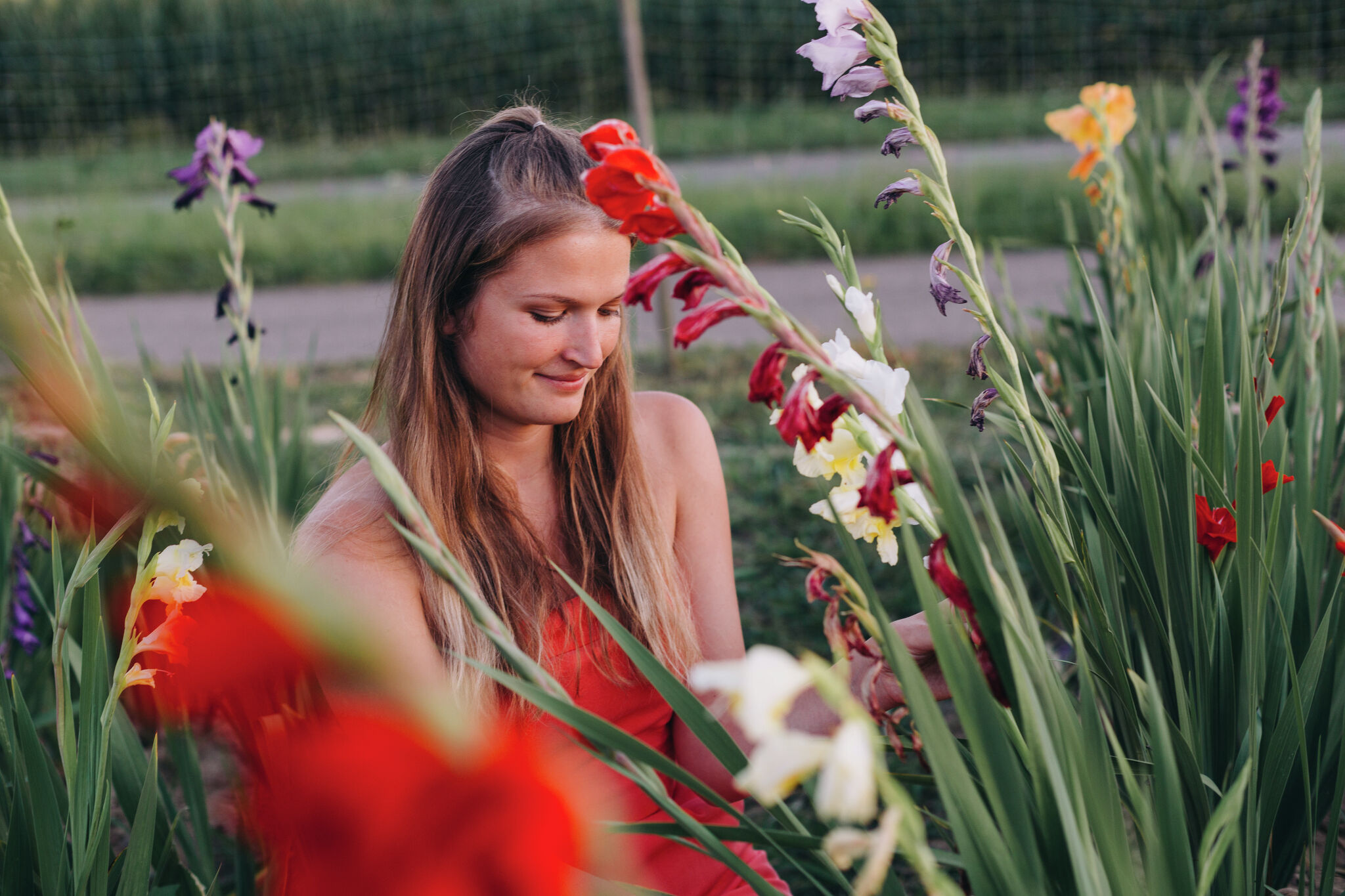 Why do gladiolus flop over? Neil Sperry answers.