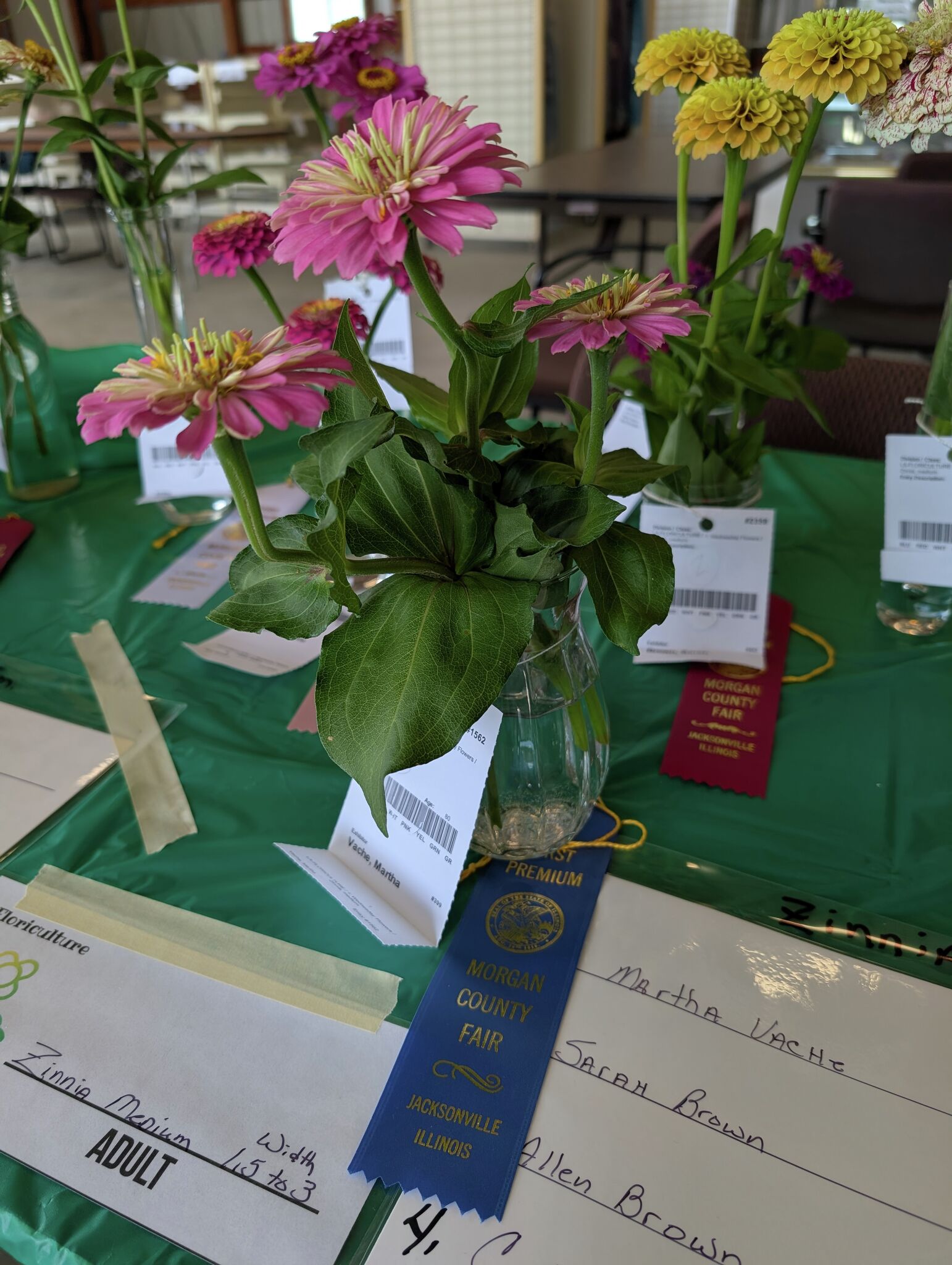 Adult projects vie for their own blue ribbons at Morgan fair