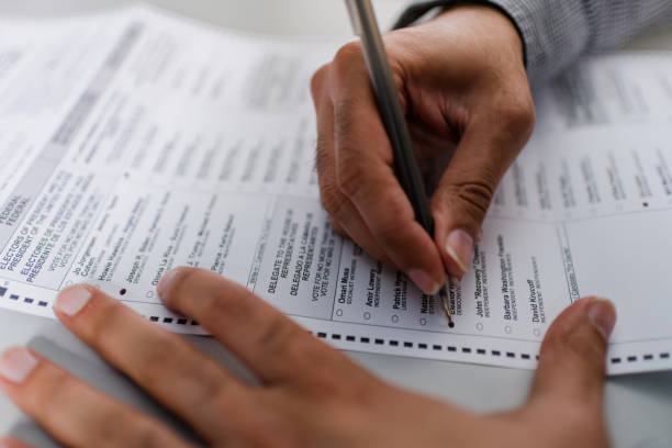 Insect treatment, road maintenance, library services millage renewals on Caseville Township ballot