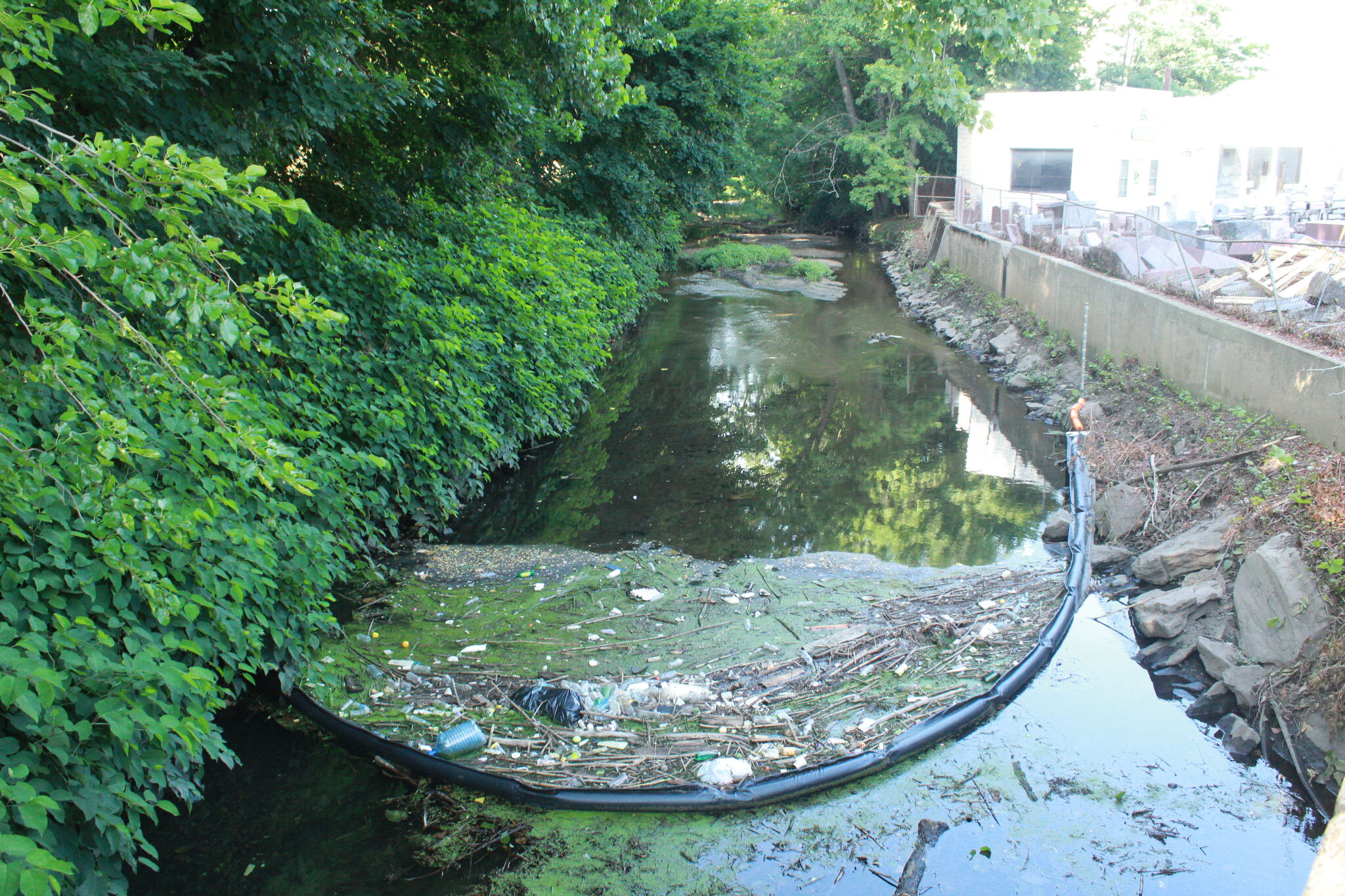 Connecticut's first river-spanning litter boom pulls 200 pounds of trash from Rooster River
