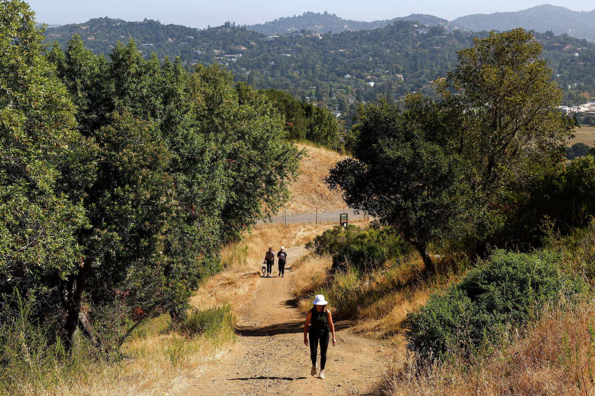 Hikers make their way up the fire road to the King Mountain Loop Trail in Larkspur.