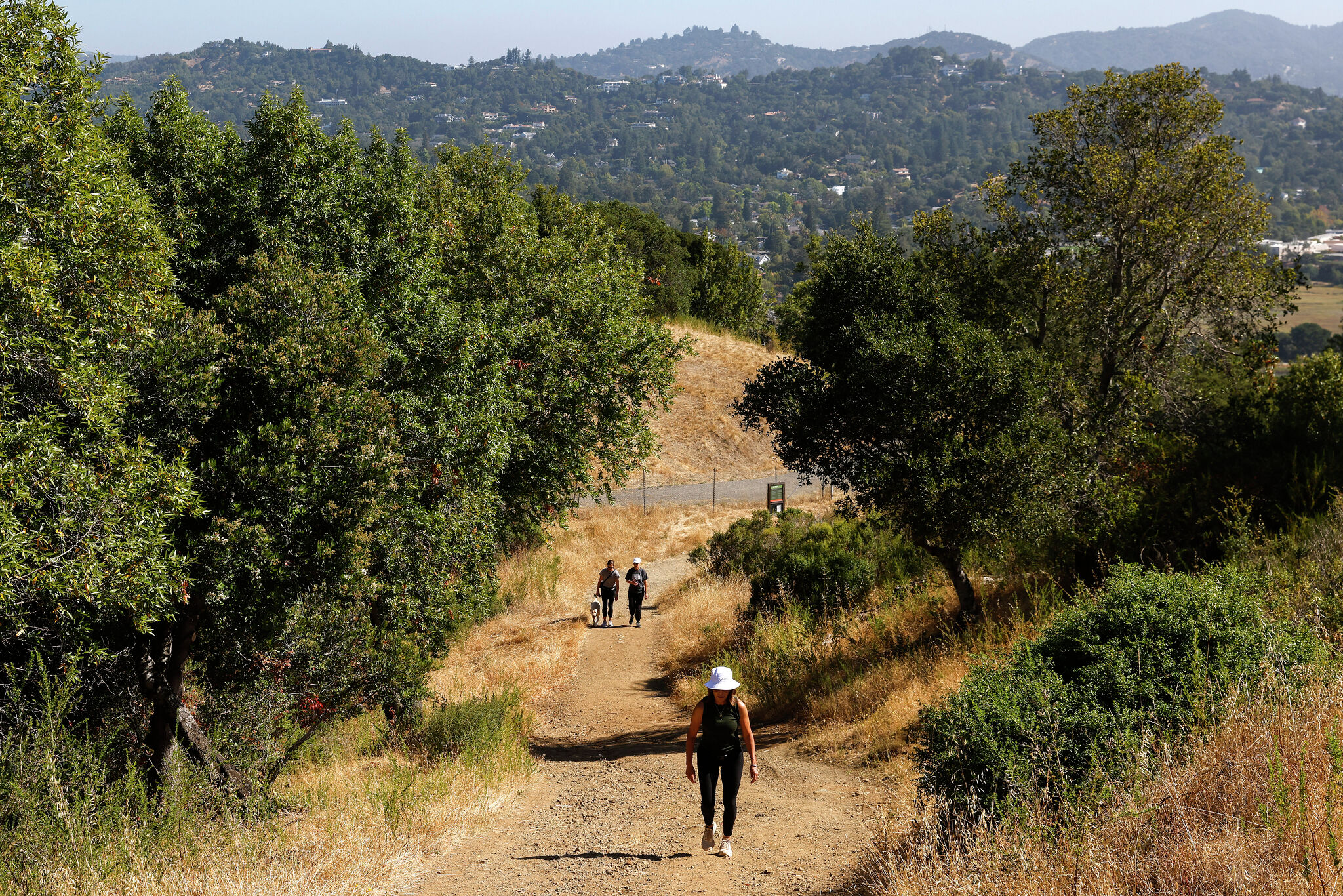 sfchronicle.com - Gregory Thomas - This coveted Bay Area mountaintop will open to the public for the first time in decades