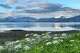 The sun shines on mountains across Frederick Sound from Petersburg, Alaska, Thursday, July 2, 2026, in Petersburg.