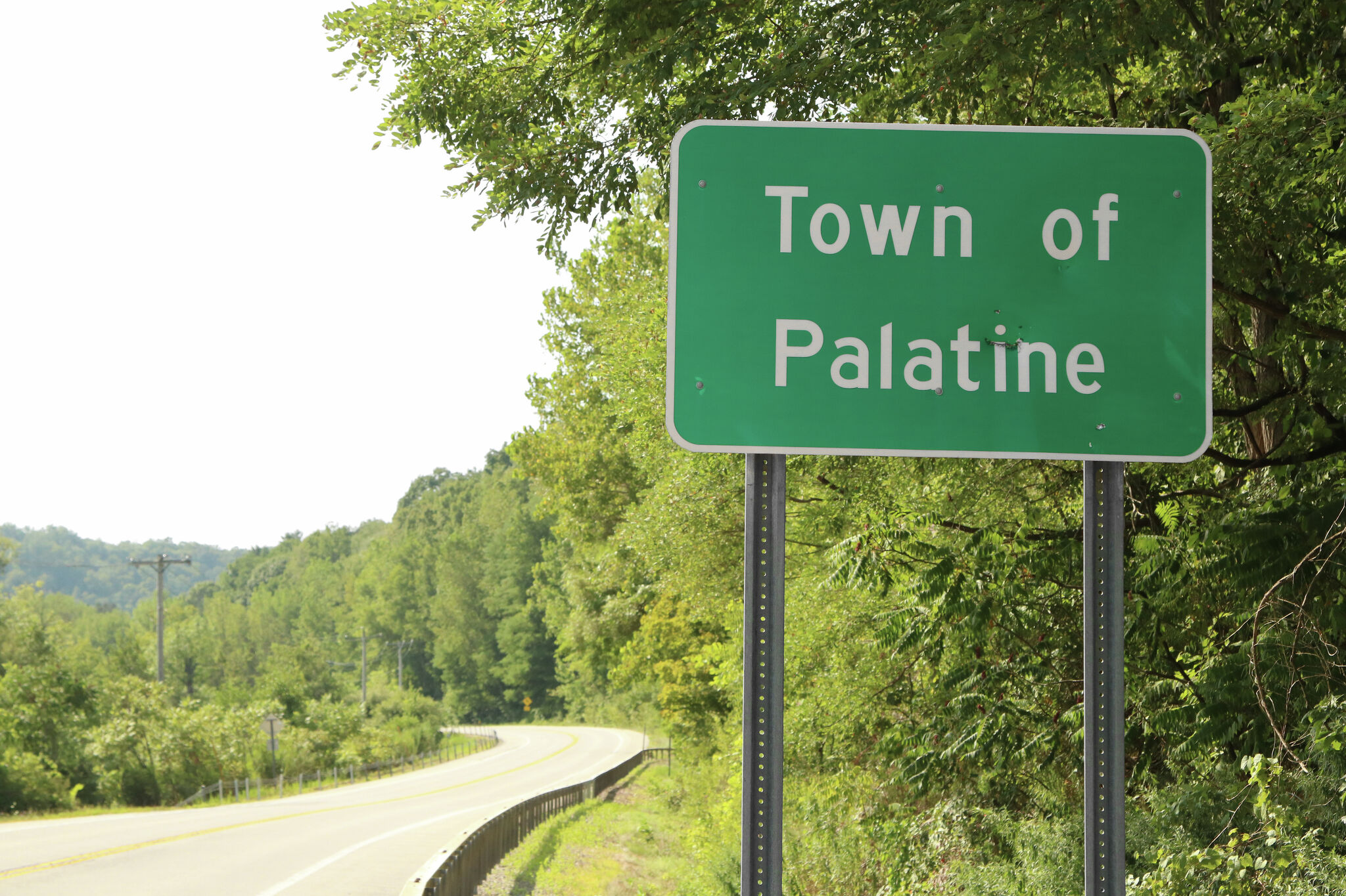 Man seriously injured, horse killed after Amish buggy crash