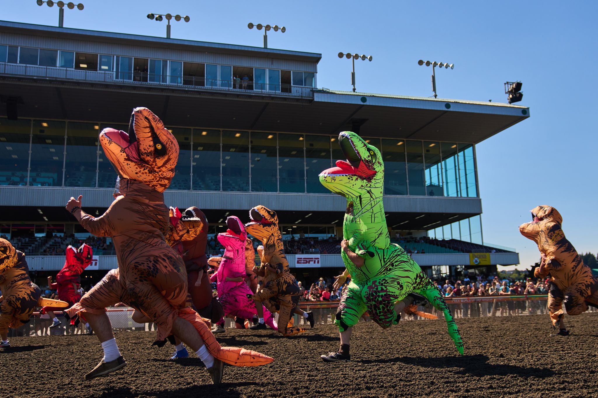 Inflatable dinosaurs race at Emerald Downs, in photos By LINDSEY WASSON , Associated Press July 14, 2026