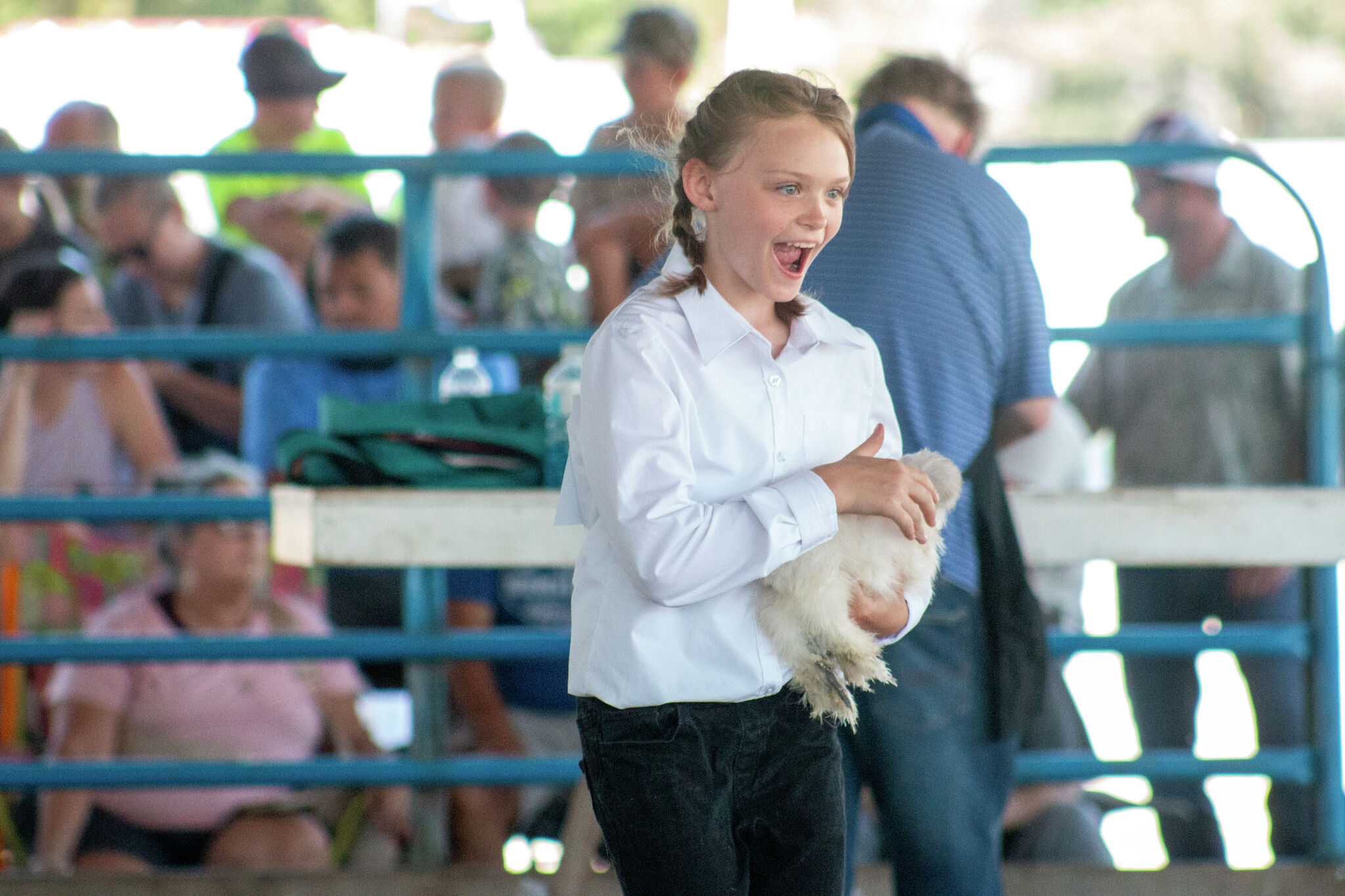 First-time grand champions highlight Mecosta County Free Fair poultry show