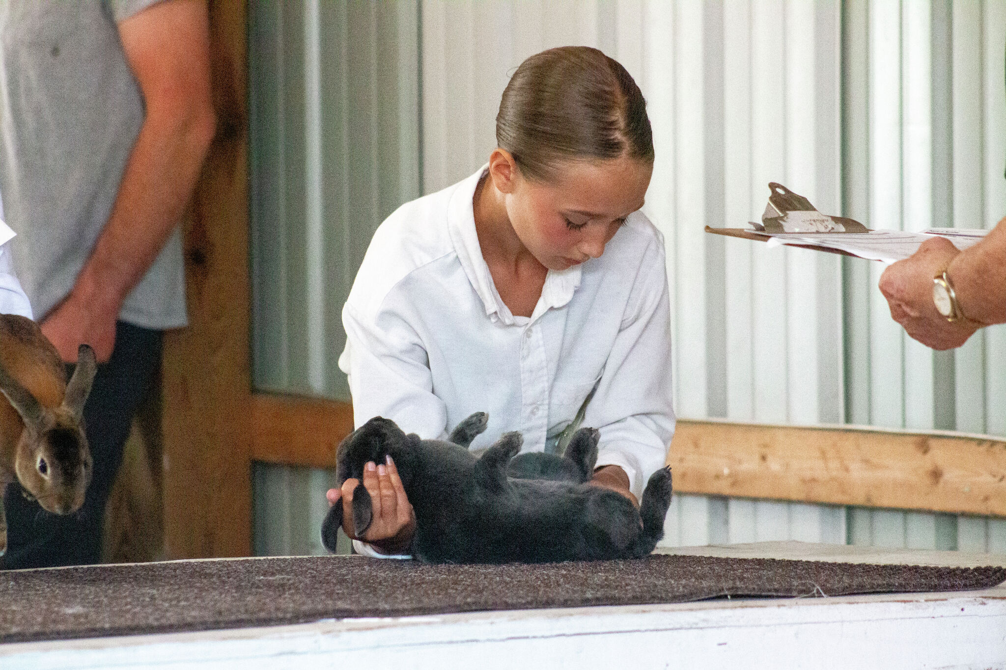 Family tradition, mentorship lead young rabbit exhibitor to fair win