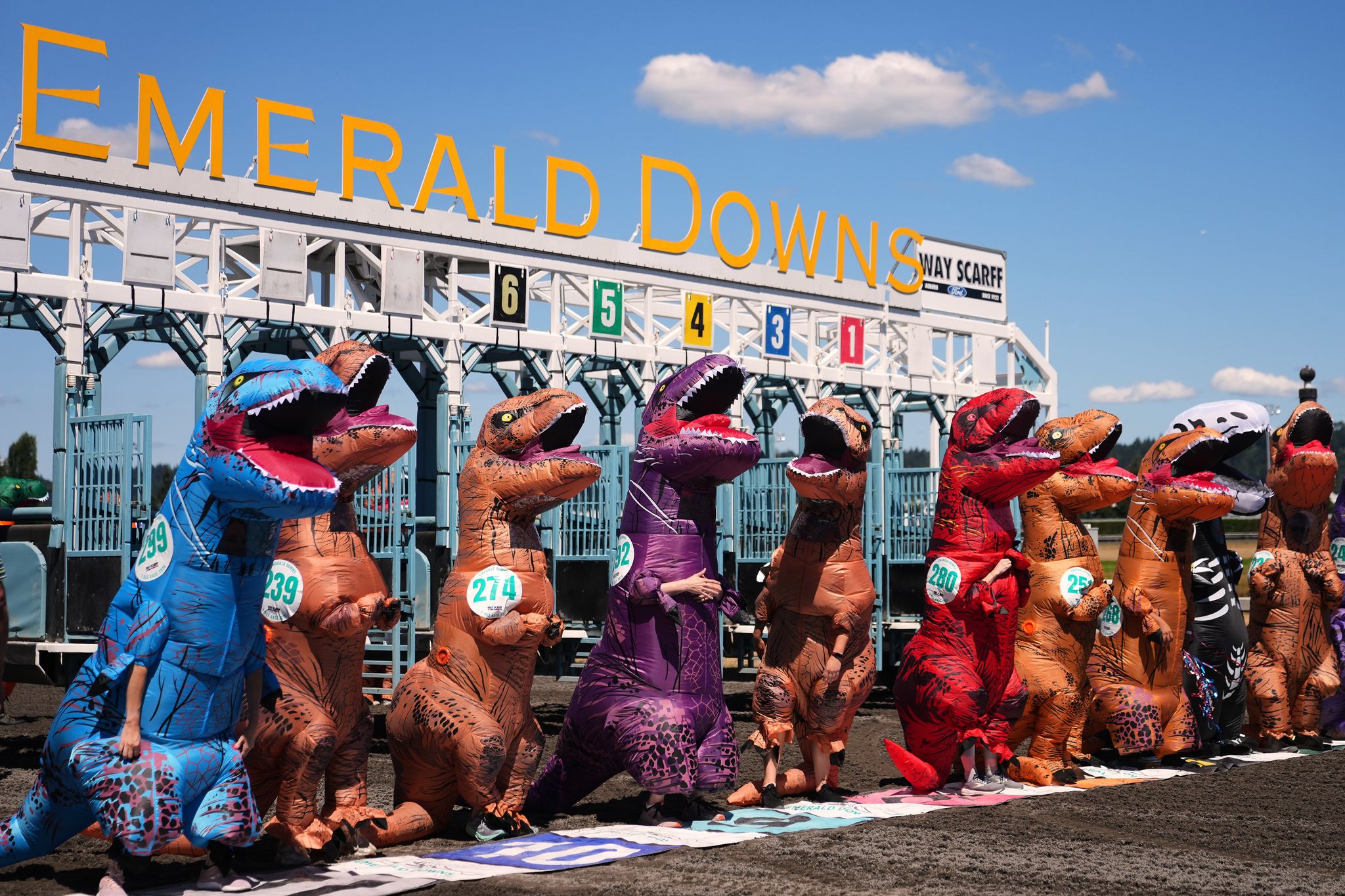 Fotos: Carreras de dinosaurios inflables en Emerald Downs