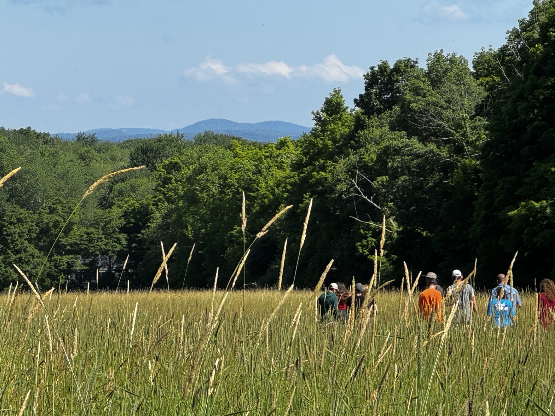 Bethel moves to preserve 108-acre property from future development