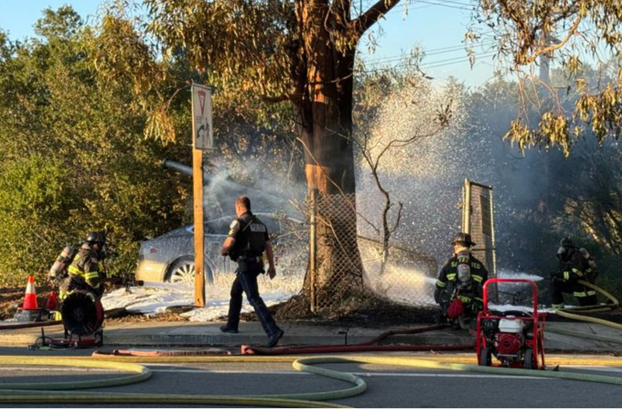 San Mateo: Person Dies After Car Crashes Into Light Pole, Catches Fire ...