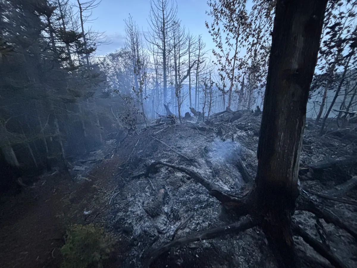The state Department of Environmental Conservation said it does not yet know what started the blaze.