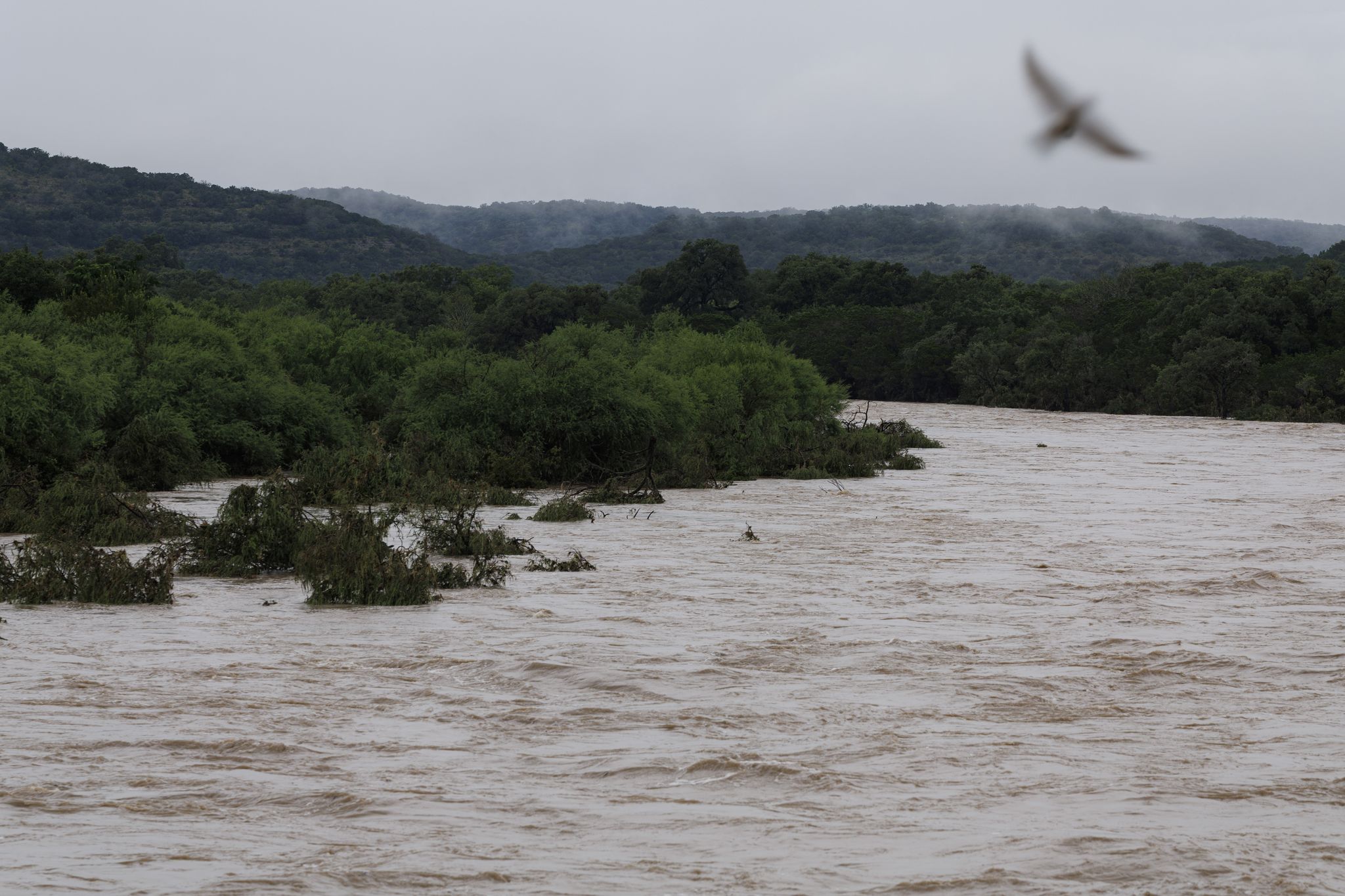 According to the NWS, between 10 and 20 inches of rain has fallen in the past 48 hours, including up to 8 inches in the past 2 hours.