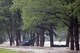 Debris from the flooded Guadalupe River on Thursday, July 16, 2026, in Kerrville.