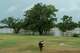 Perdenales the dog carries a stick as the Predenales River floods Arrowhead Creek Vineyards in Stonewall, Thursday, July 16, 2026.