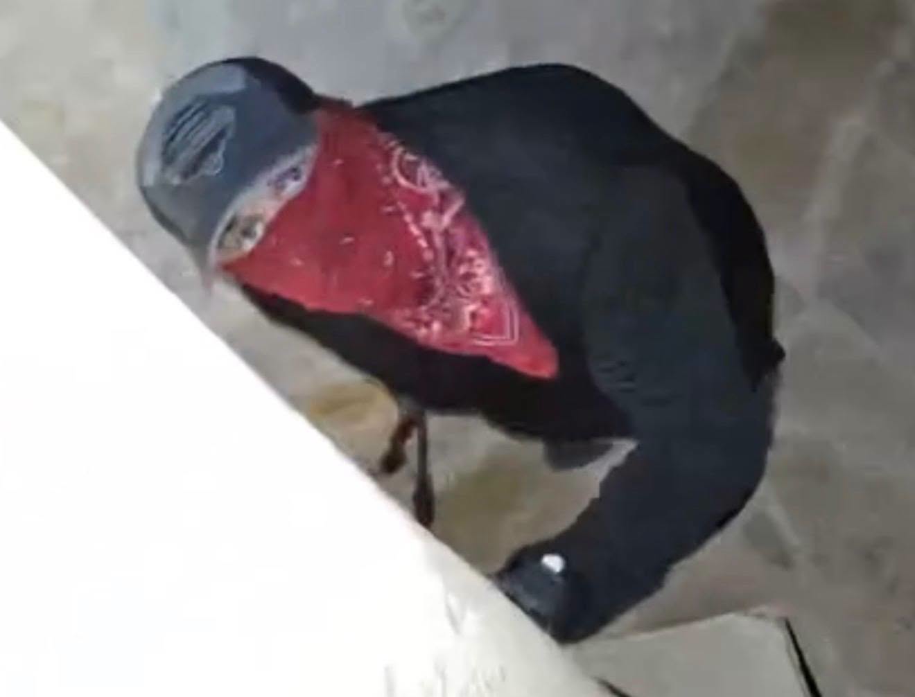 The San Antonio Police Department is asking for help identifying the man, who they believe has been burglarizing Stone Oak homes since March.