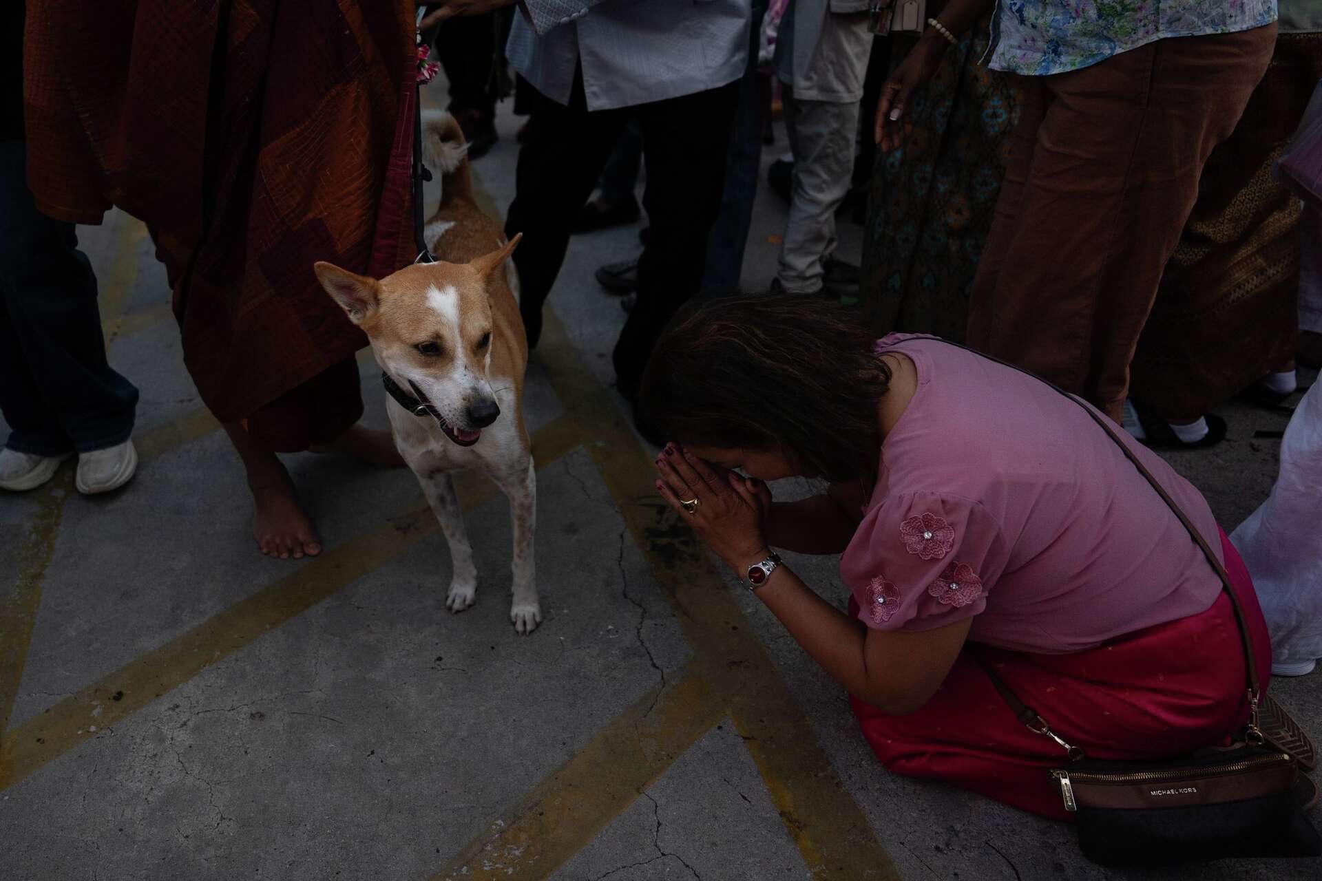 Monks Rescued Dog How a 2,300-mile Walk for Peace thrust a Texas monk and his rescue dog ...