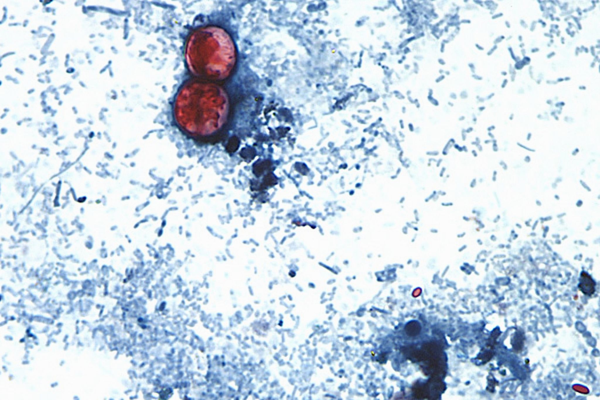 https://s.hdnux.com/photos/01/66/67/07/31158726/6/rawImage.jpg