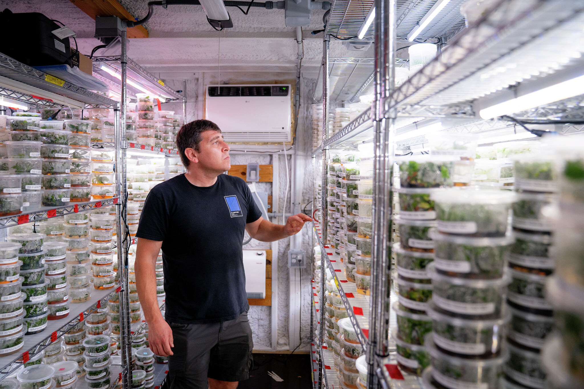 Photos: see inside Austin's carnivorous plant nursery, Carnivero
