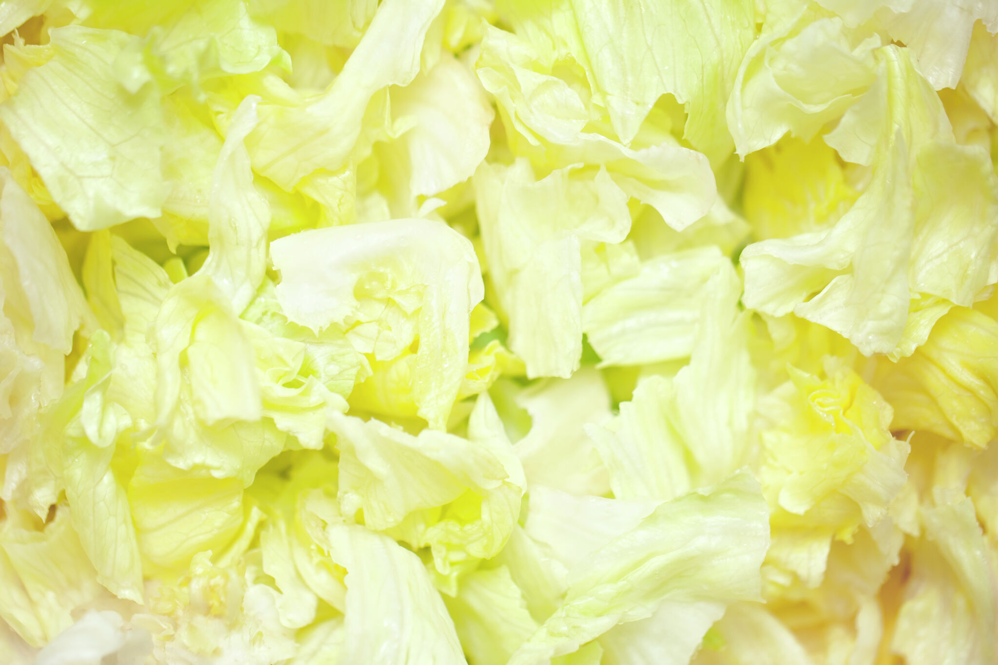 Taylor Farms lettuce recall remains after FDA test error