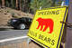 In crowded Yosemite National Park, bears are eating birthday cake and getting hit by cars