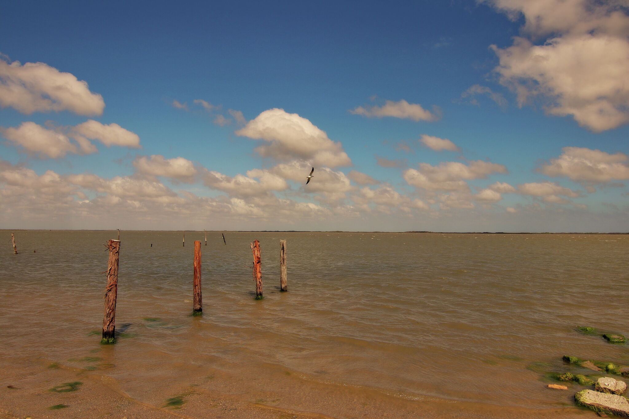 What we know about the deadly Texas boat crash that killed a 16-year-old