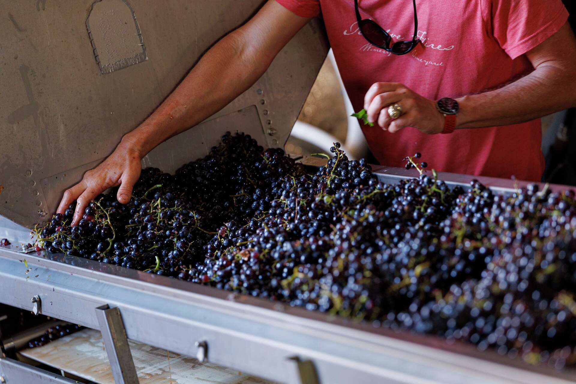 Texas Hill Country Rivals Napa as Top Wine Destination
