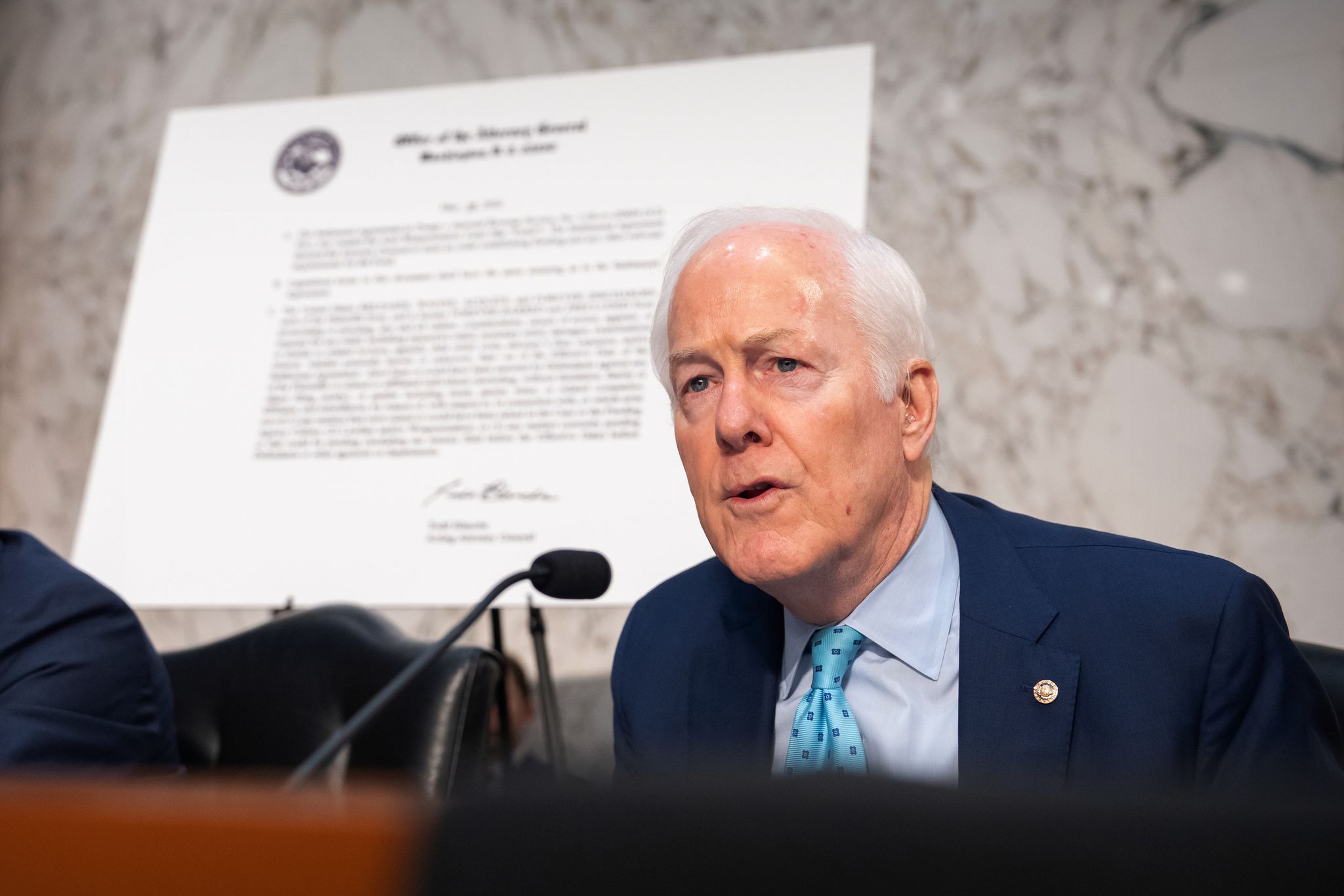 Image for Blanche nomination at risk of delay as senator seeks assurances on Trump settlement