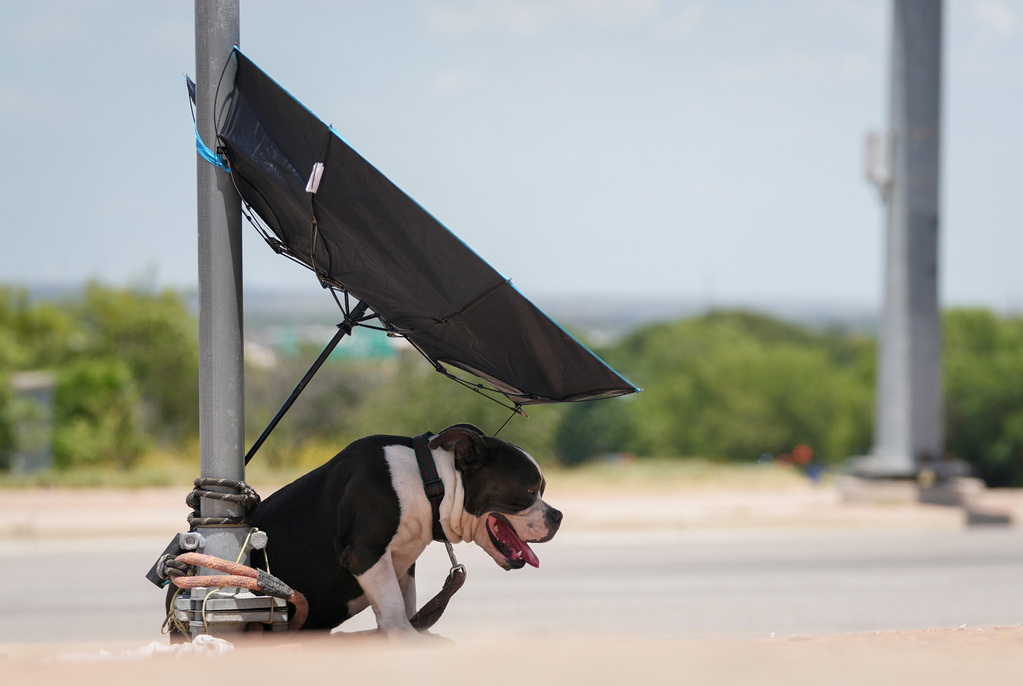 See 35 remarkable moments captured across Central Texas in July