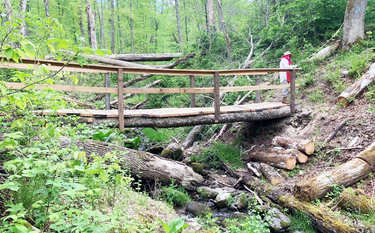 Bridge of harvested trees to link Brookfield sanctuary, town land