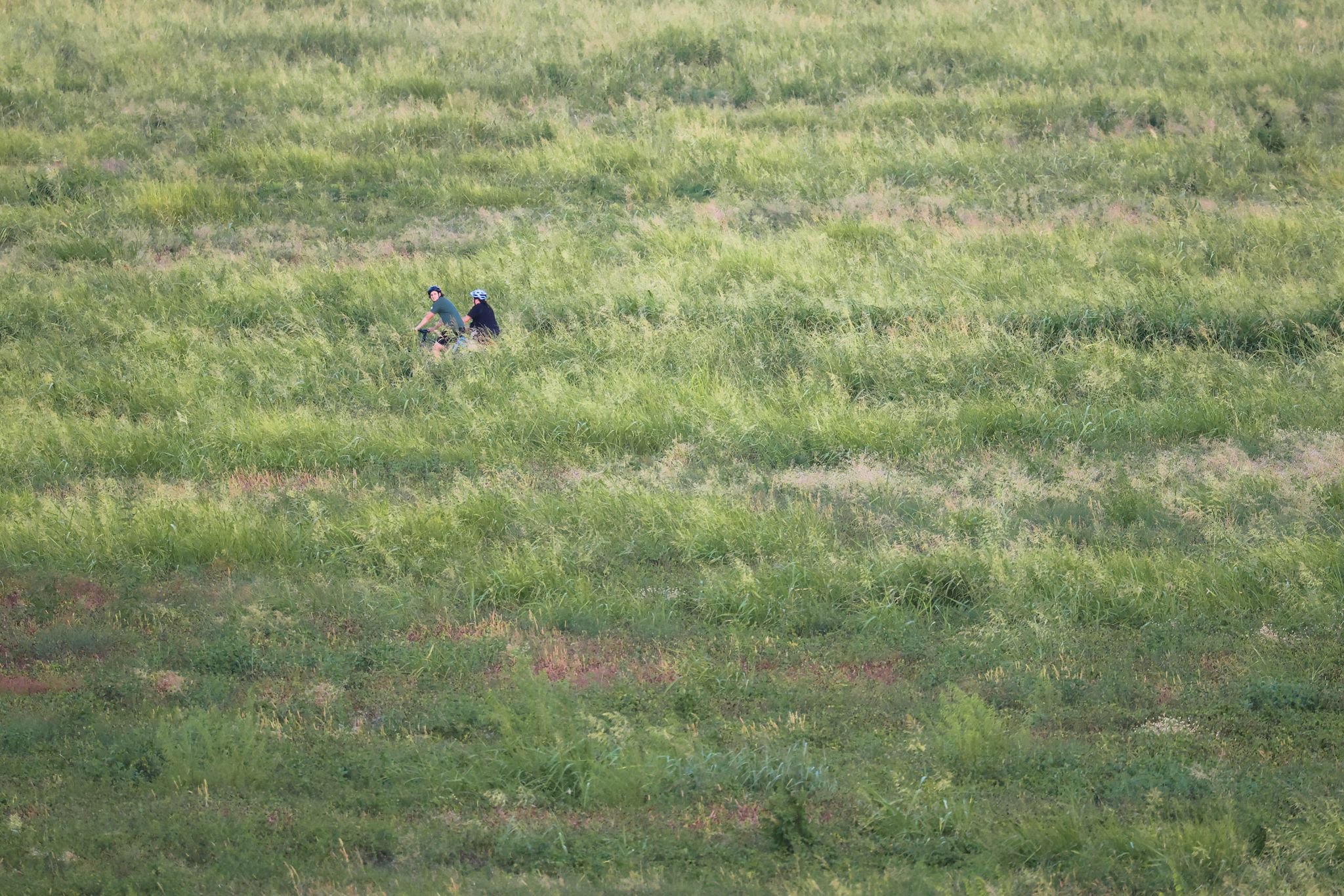 https://s.hdnux.com/photos/01/66/74/75/31182719/3/rawImage.jpg