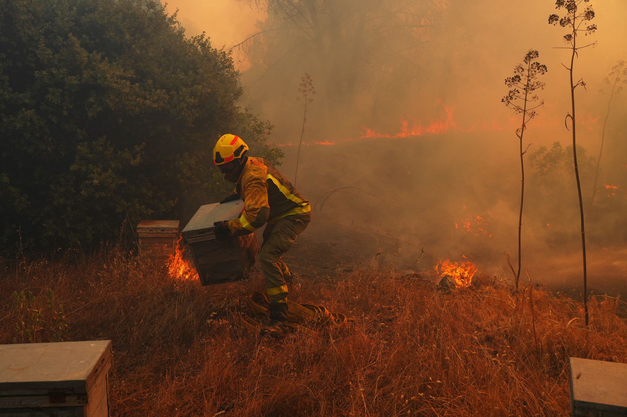 chron.com - SETH BORENSTEIN and EDITH M. LEDERER - UN, scientists warn that strong El Nino will add fuel to 'a planet already on fire