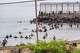 Migrants try to cross from Morocco into the Spanish enclave of Ceuta, Friday, July 31, 2026.