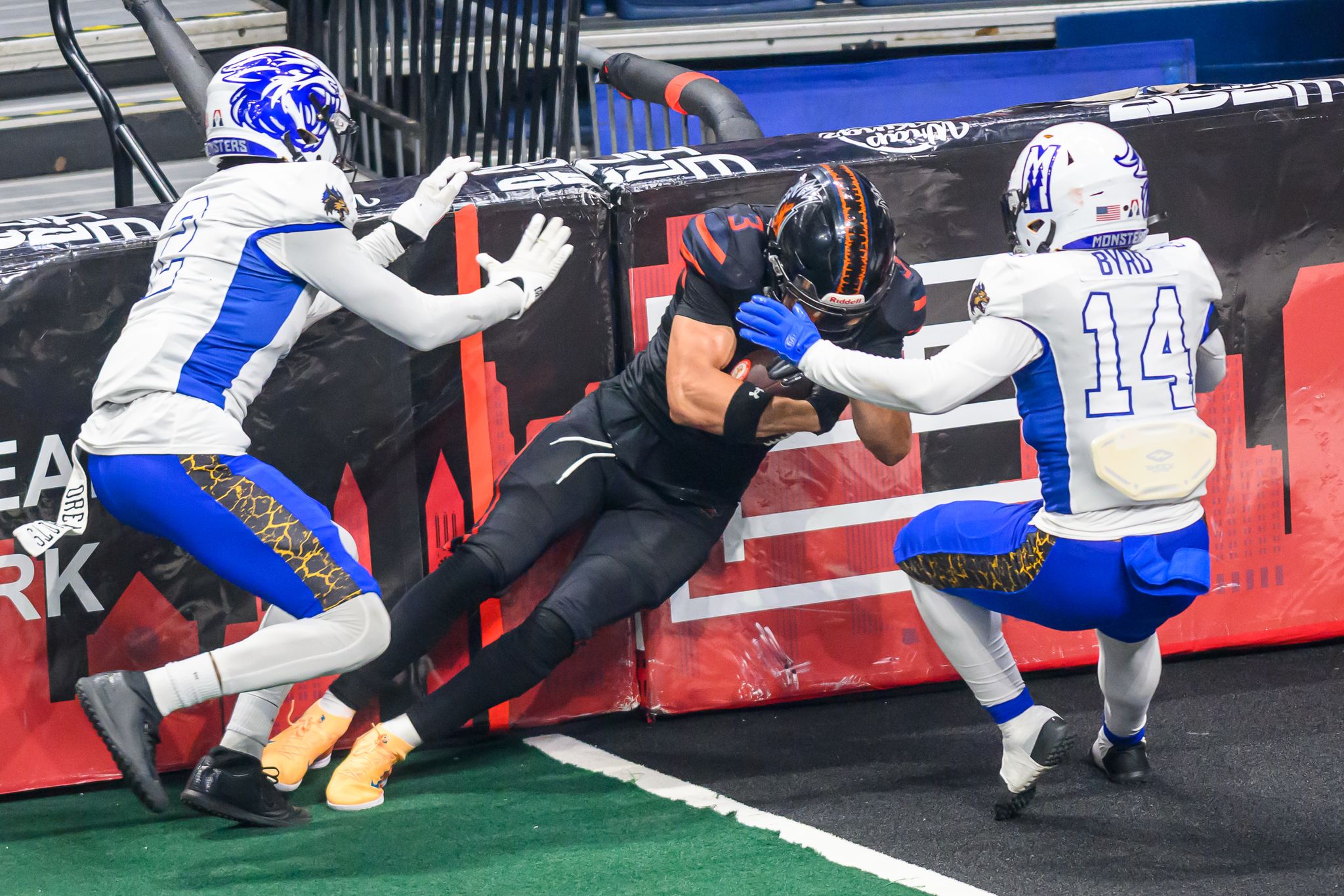 Furebads Albany Firebirds face Nashville Kats for arena football league title