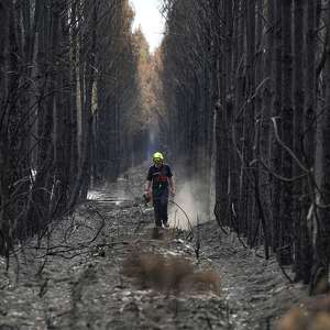 De Atenas a Burdeos, la emergencia de incendios forestales en Europa continúa — GLOBAL — Aslikannih