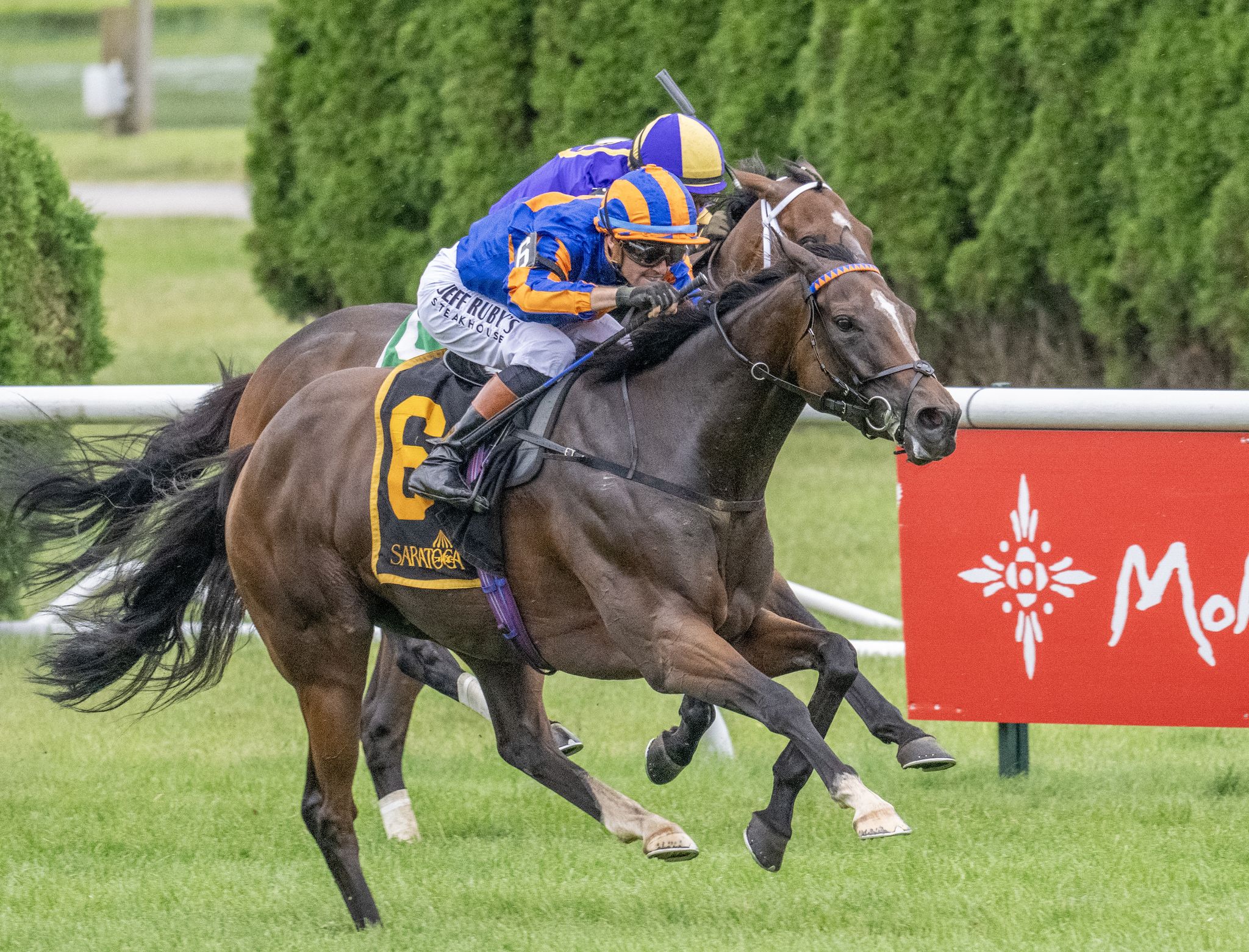 Christophe Clement Turf Stakes at Saratoga has international flavor