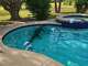 A 10-foot American alligator was spotted in a residential swimming pool in Los Fresnos, in the Rio Grande Valley, on Tuesday, July 28, 2026. The gator was safely relocated.
