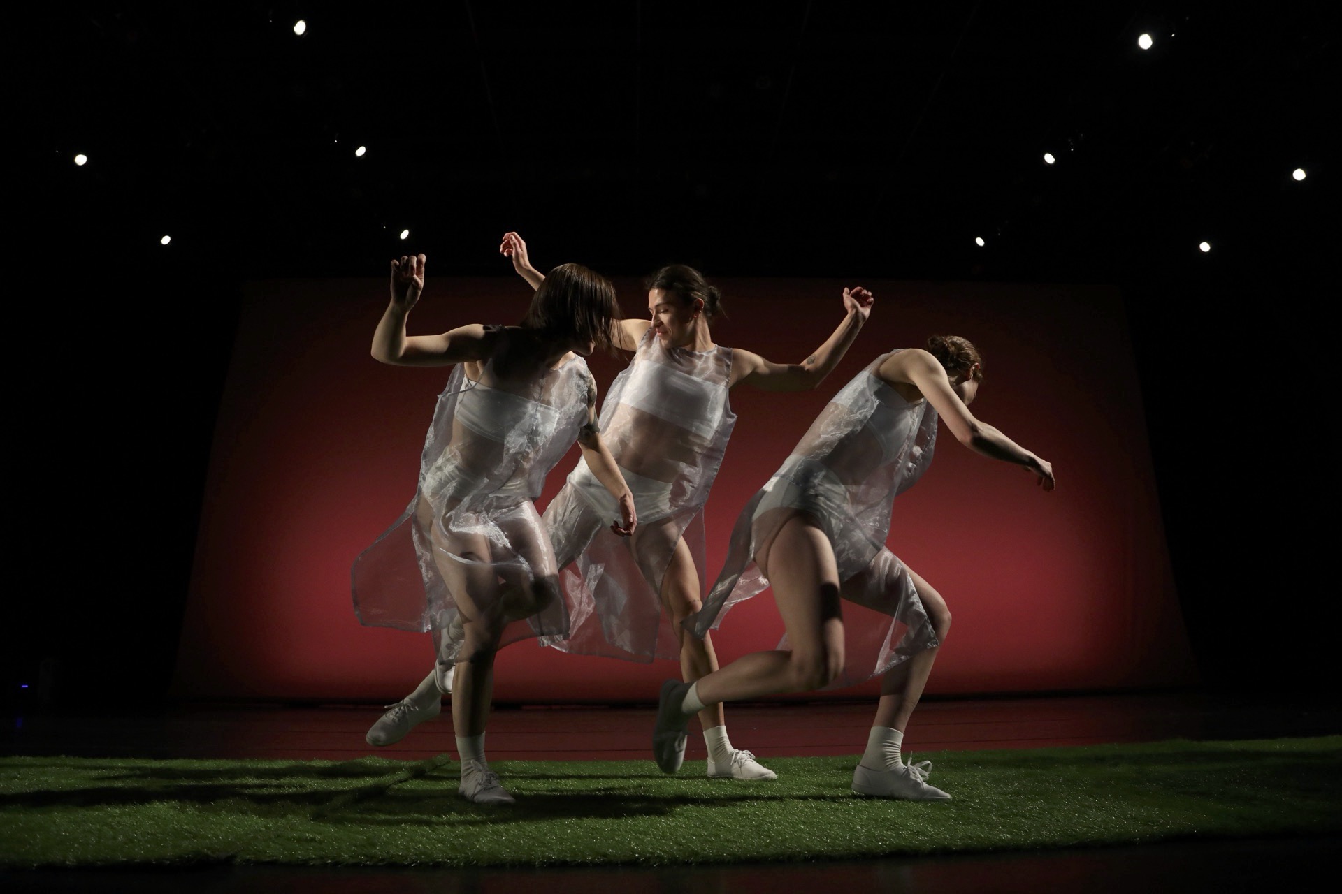A raw chicken is just one surprise at FACT/SF’s dance festival