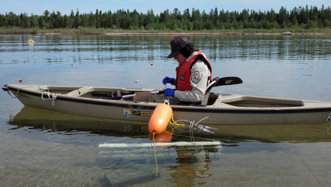 Lampricide treatment planned for Manistee River