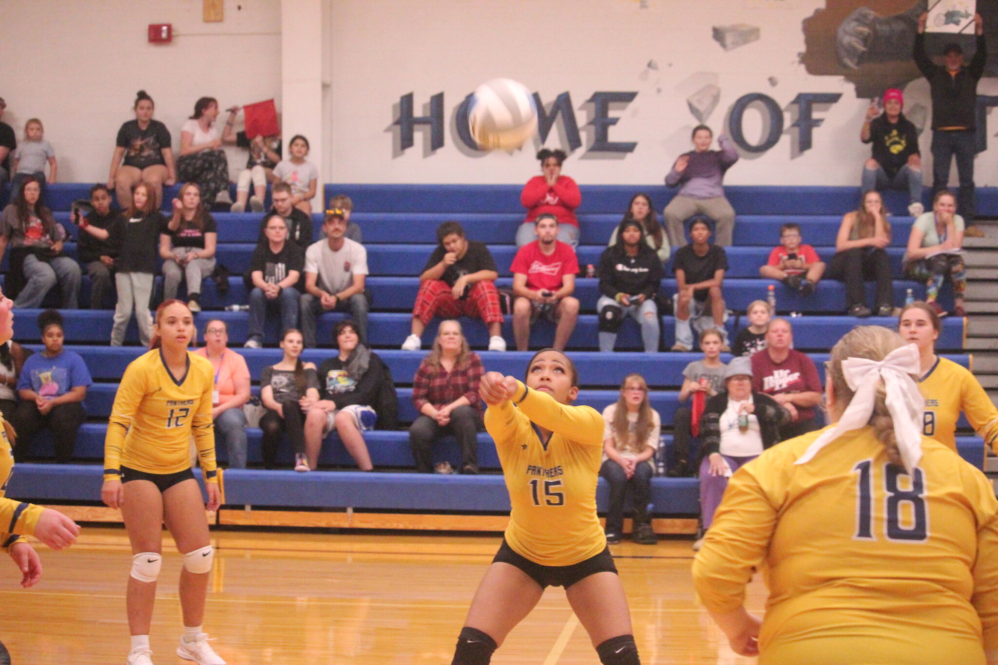 Baldwin volleyballers open practices on Monday