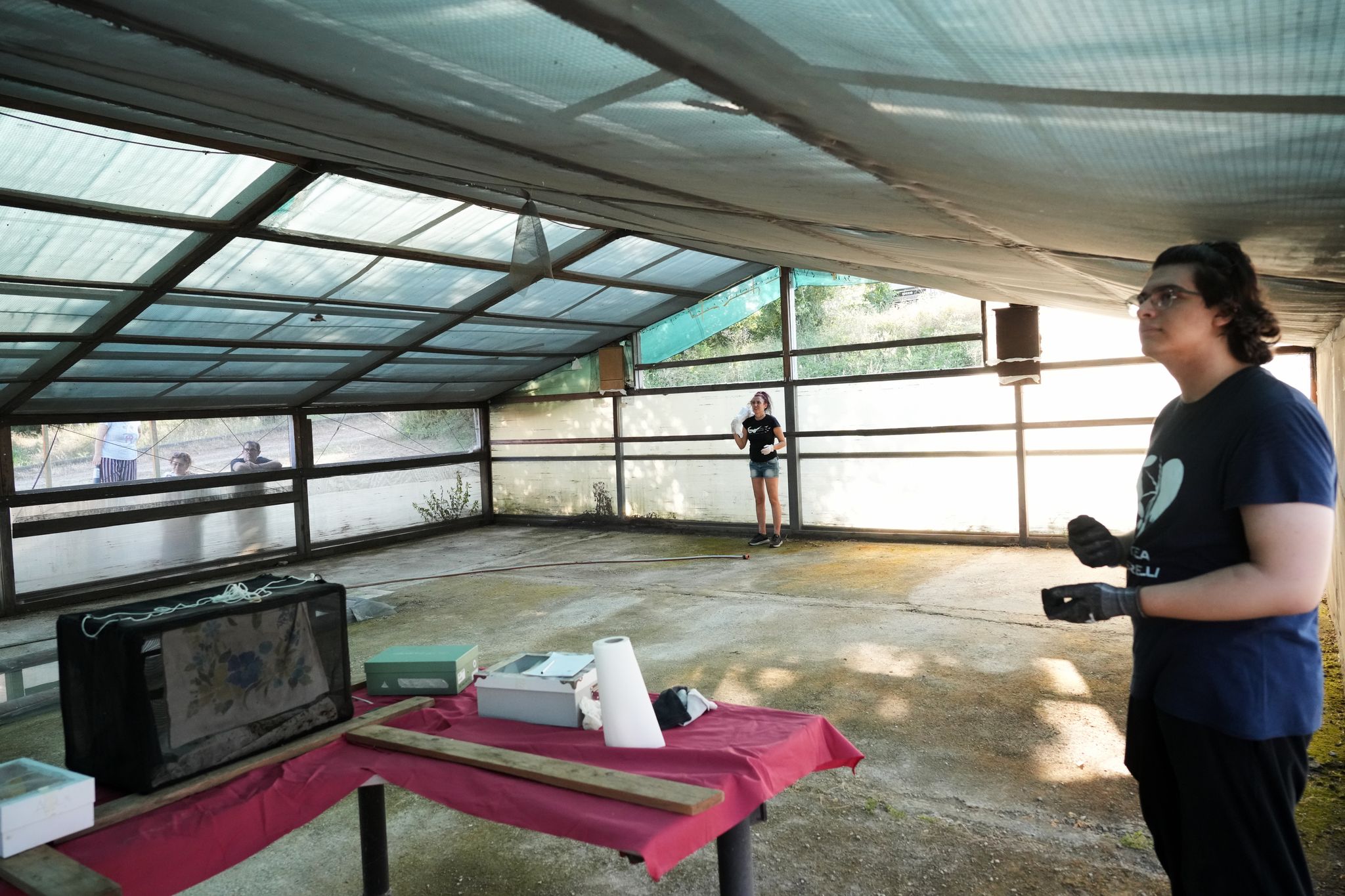Volunteers work to protect displaced bats at an Italian Bat Conservation, in photos By ANDREW MEDICHINI , Associated Press Aug 6, 2026