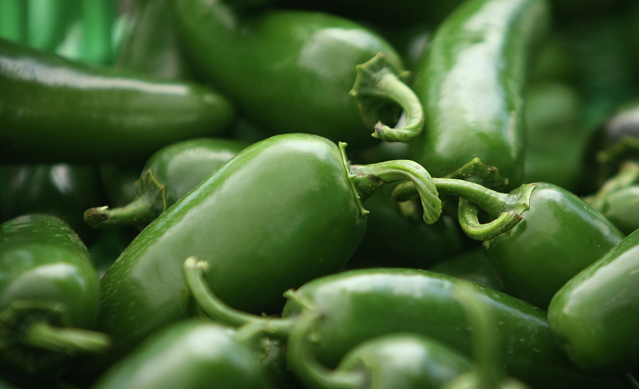 Texas among states affected by salmonella outbreak linked to jalapeños