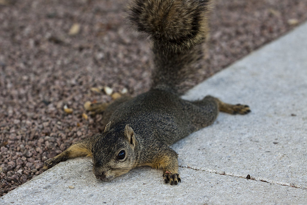 Want to hang outside? Apparently, Texas isn't the place for it.