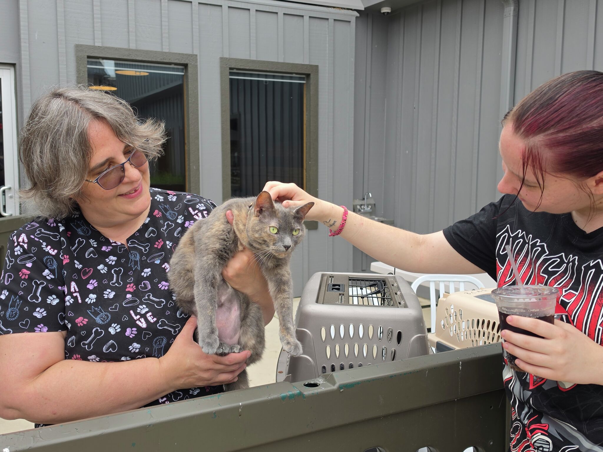 Lucky Dog partners with Benzie County animal shelter