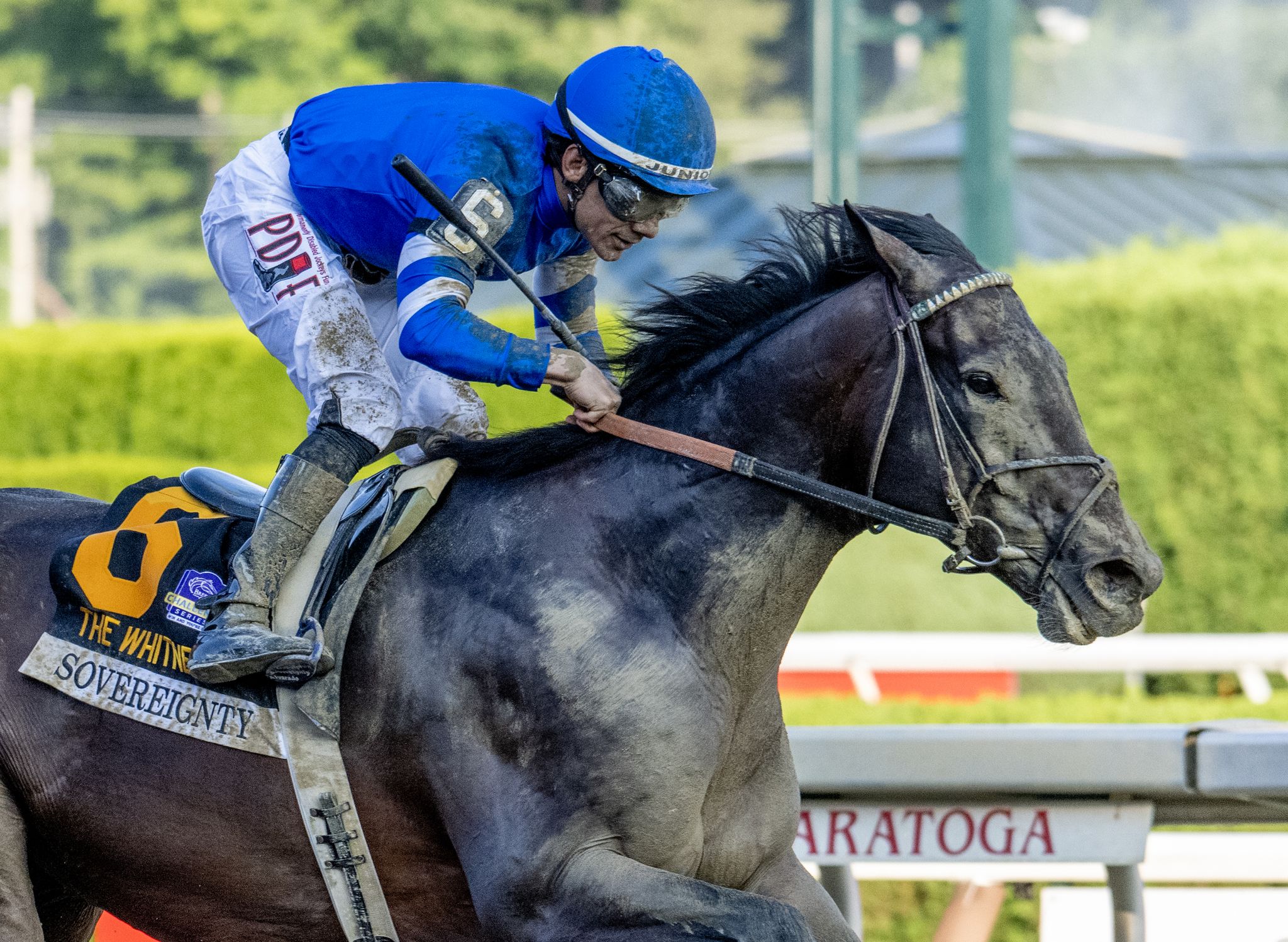 Ready for the Breeders' Cup? Here are 10 top horses to know.