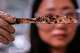 Katie Byun holds up a compostable knife, which was made with plastic made from plants, that was starting to break down after about two months in a home composting test bin, at CJ Biomaterials, Monday, Aug. 3, 2026, in Woburn, Mass.